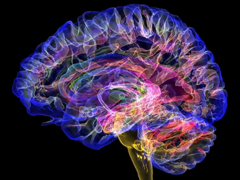 操高潮视频大脑植入物有助于严重头部损伤恢复